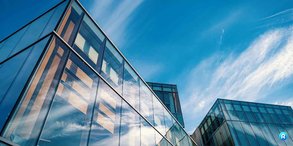 Essential Financial Reports Every CEO Needs
